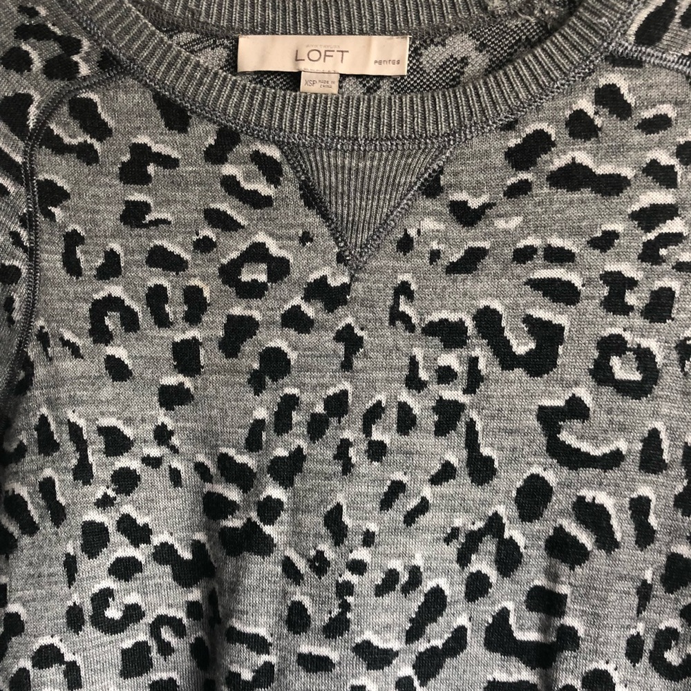 Sweater dress by Loft in XSP